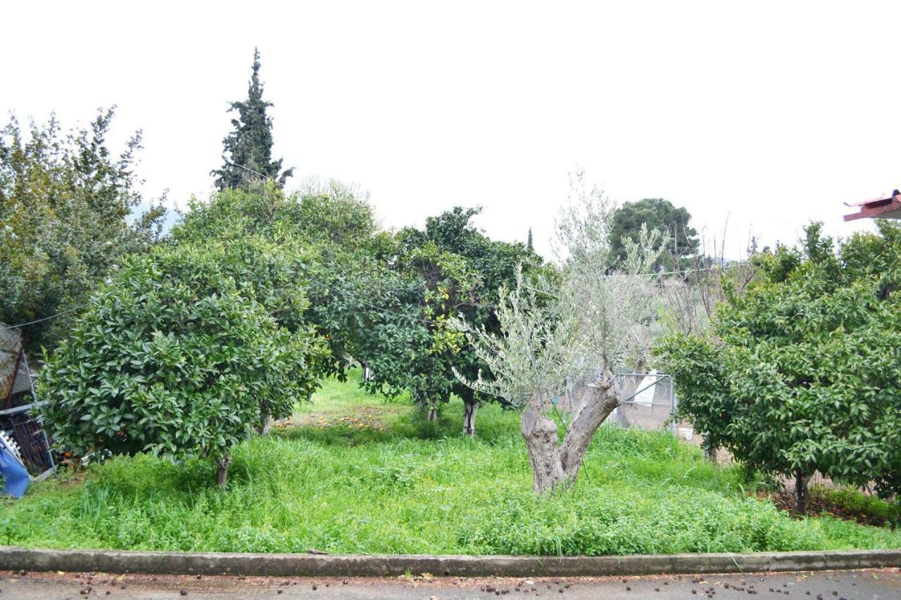 Villa Bella Loukisia Loukissia ภายนอก รูปภาพ